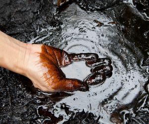 Melhores Plataformas de Negociação de Petróleo no Brasil